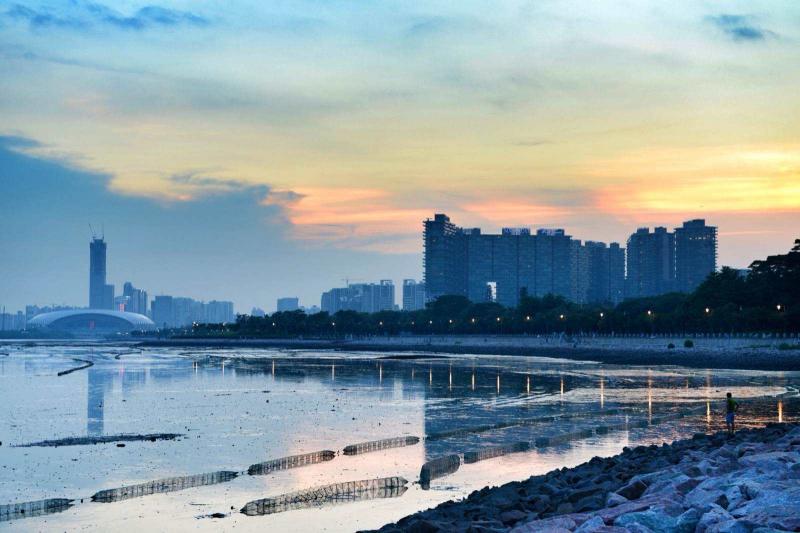 深圳湾公园夜景图片 第9张