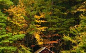 瓦尔登湖图片 第2张