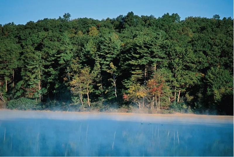 瓦尔登湖图片 第4张