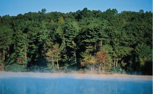 瓦尔登湖图片 第4张