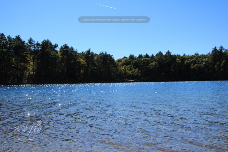 瓦尔登湖图片 第7张