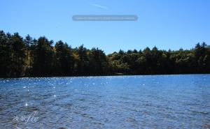 瓦尔登湖图片 第7张