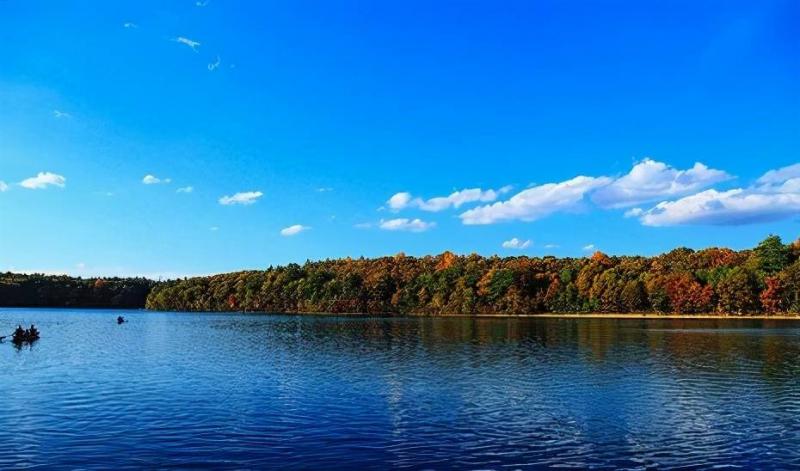 瓦尔登湖图片 第6张