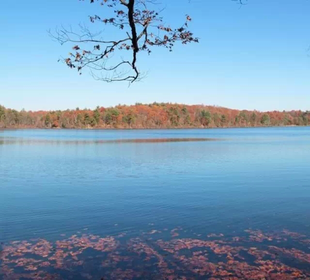 瓦尔登湖图片 第9张