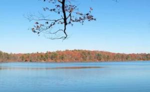 瓦尔登湖图片 第9张