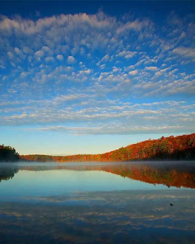 瓦尔登湖图片 第10张