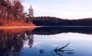 瓦尔登湖图片 第8张