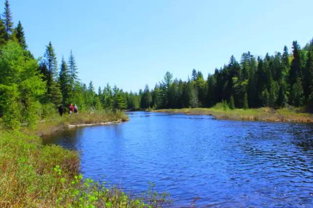 瓦尔登湖图片 第11张