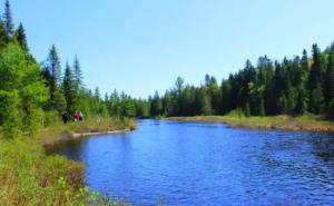 瓦尔登湖图片 第11张