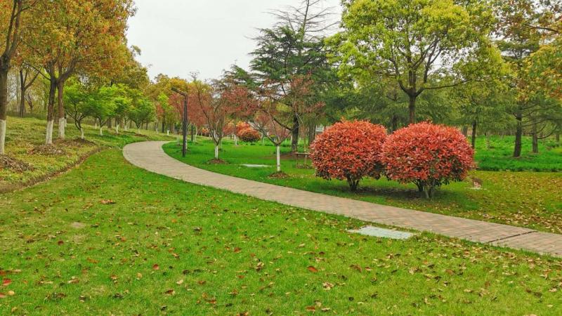 春天公园美景图片 第1张