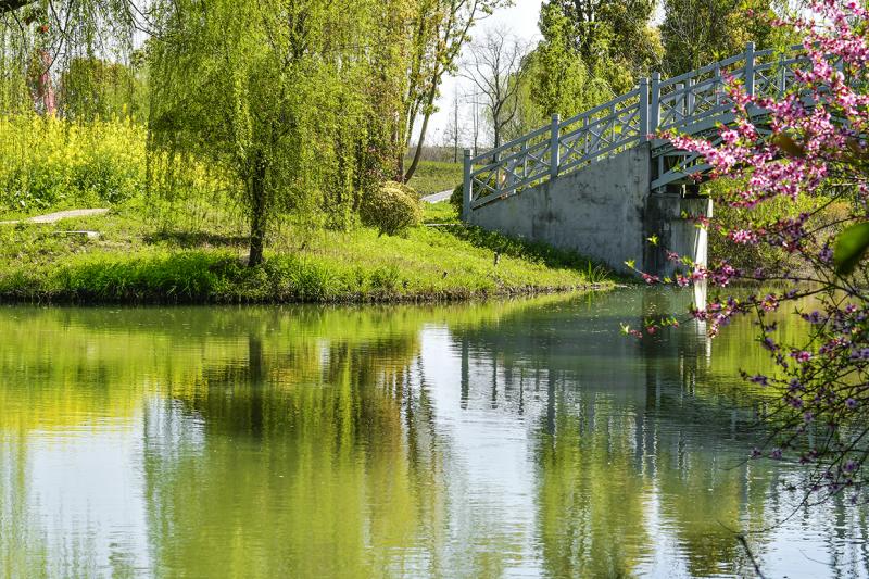 春天公园美景图片 第2张