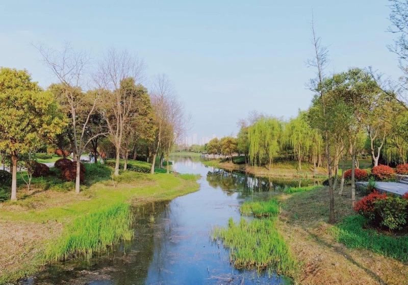 春天公园美景图片 第4张