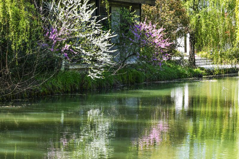 春天公园美景图片 第5张