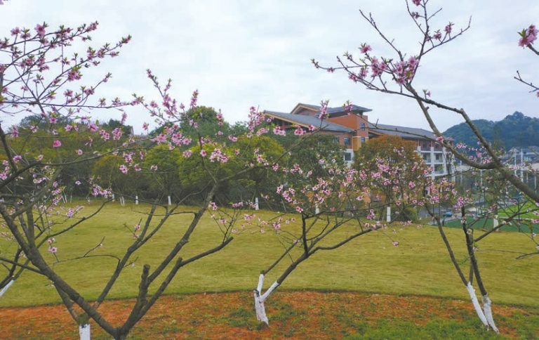 春天公园美景图片 第6张