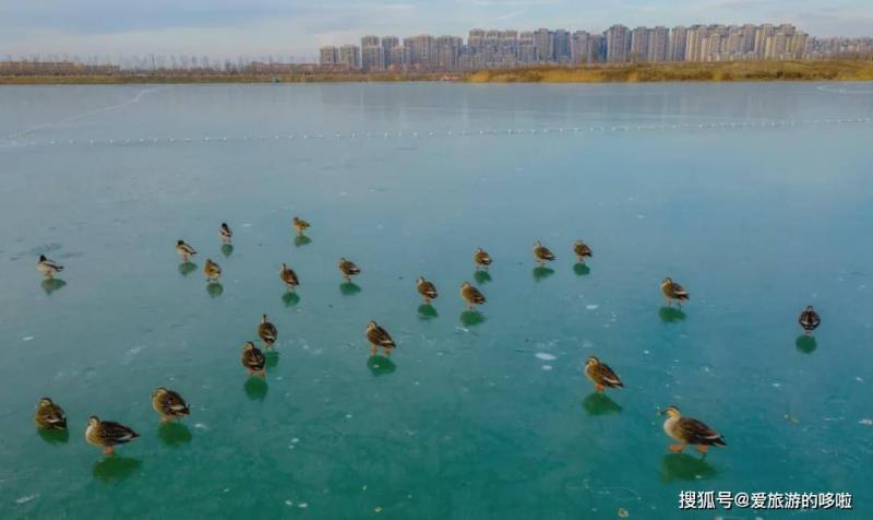 封河景色图片 第7张