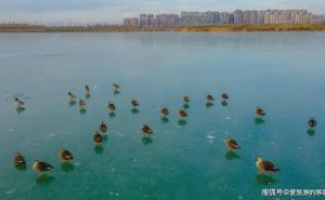 封河景色图片 第7张