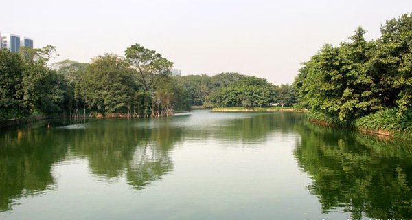 广州流花湖公园图片 第1张