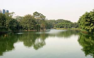 广州流花湖公园图片