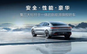 轿车汉图片 第7张