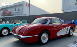 跑车松散SS DOLPHIN图片 第3张