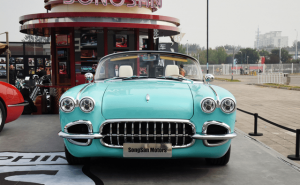 跑车松散SS DOLPHIN图片 第4张