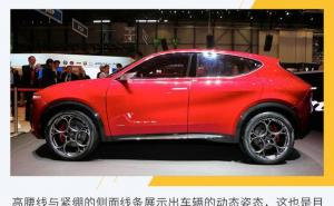 SUVTonale图片 第5张