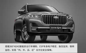 SUVSWM斯威G05图片 第2张