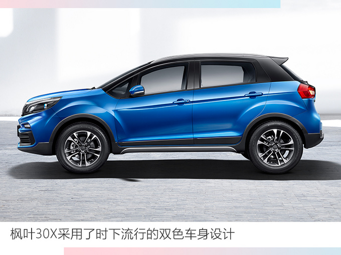 SUV枫叶30X图片 第3张