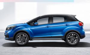 SUV枫叶30X图片 第3张