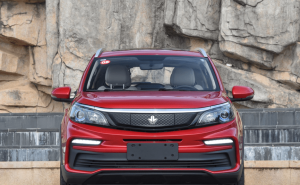 SUV枫叶30X图片 第2张