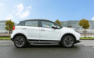 SUV枫叶30X图片 第8张