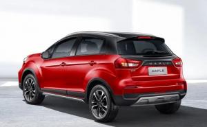 SUV枫叶30X图片 第4张