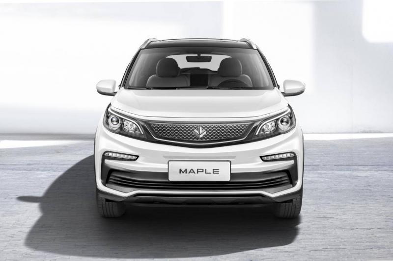 SUV枫叶30X图片 第9张