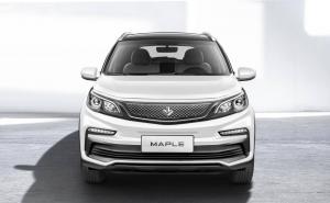 SUV枫叶30X图片 第9张