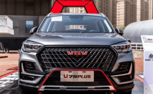 SUVVGV U75 PLUS图片 第2张
