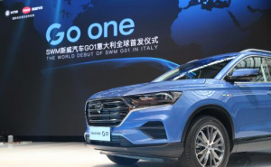 SUVSWM斯威G01图片