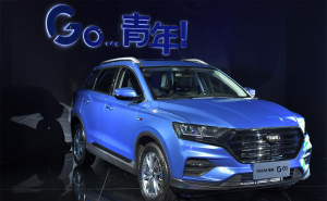 SUVSWM斯威G01图片 第8张