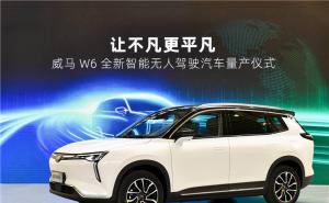 SUV威马W6图片 第6张
