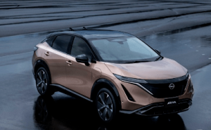 SUVAriya图片 第4张