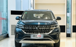 SUV风行T5图片 第2张