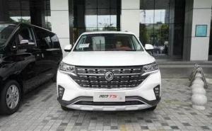 SUV风行T5图片 第14张