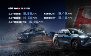 SUV哈弗H6S图片 第9张