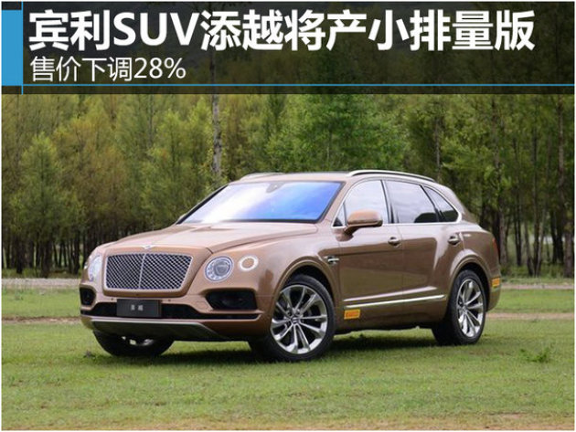 SUV添越图片 第7张