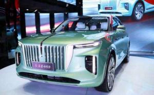 SUV红旗E-HS9图片 第11张