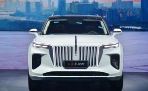 SUV红旗E-HS9图片 第13张
