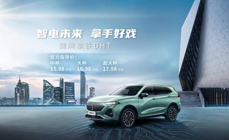 SUV拿铁DHT图片 第5张