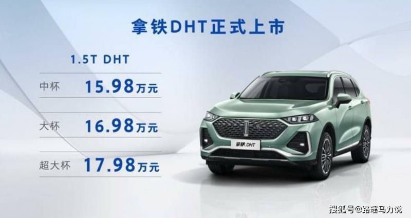 SUV拿铁DHT图片 第7张