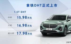 SUV拿铁DHT图片 第7张