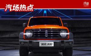 SUV坦克300图片 第3张