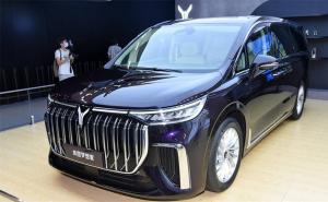 MPV梦想家 增程版图片